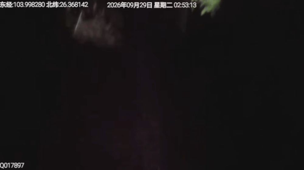 IMG_7649.GIF