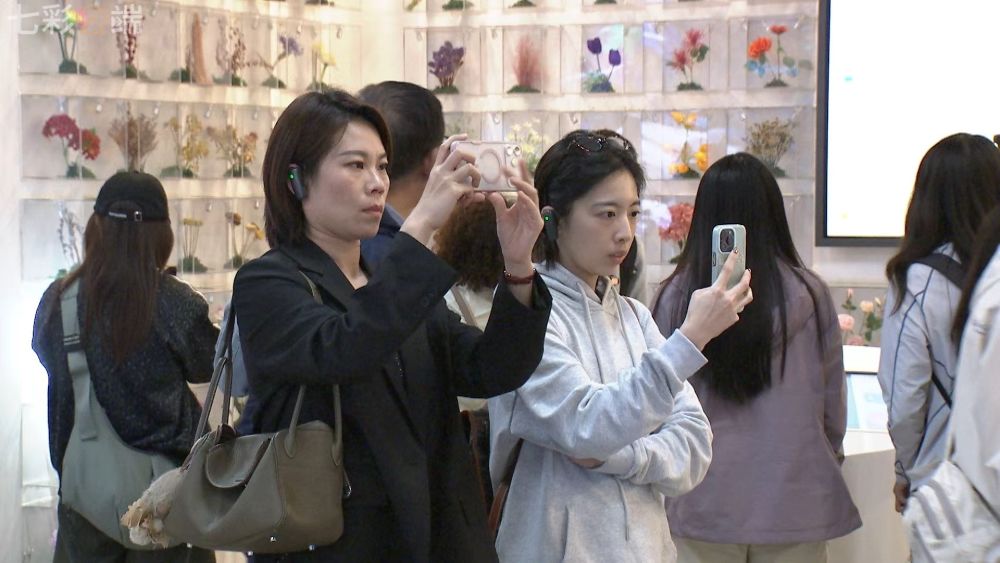 复制图片