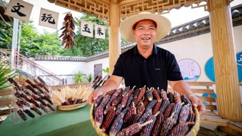 云南又整新活！玉米都盘成文玩潮品了丨有一种叫云南的生活之365天