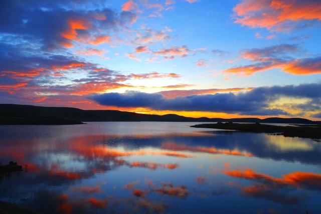 大山包黑颈鹤（开屏新闻资料图）