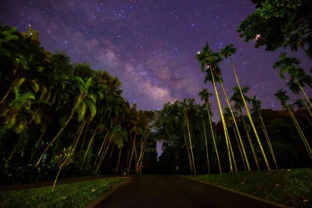 西双版纳植物园供图