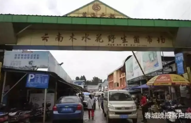 云南木水花野生菌交易中心.png
