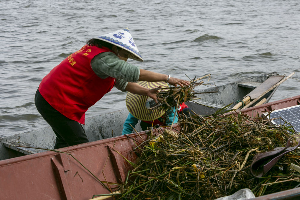 守护滇池三十余载！致敬巾帼打捞队7.jpg