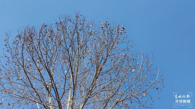 晴天16:9（頭圖可用）