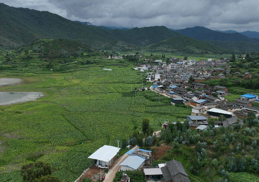 小坪水庫(kù)受益農(nóng)田（方超 攝）