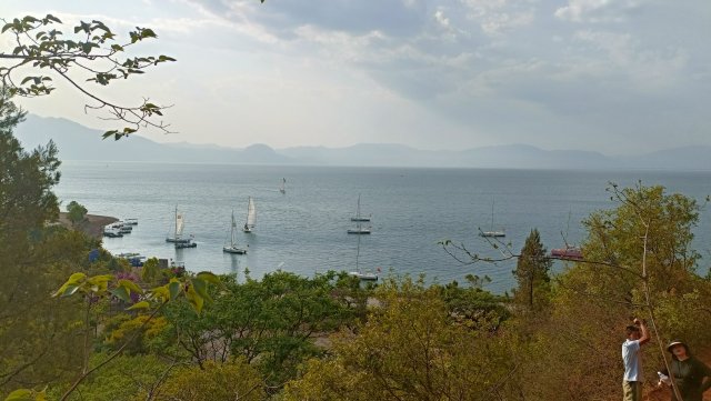 矣渡村 飞桥体育·帆船俱乐部 (1).jpg