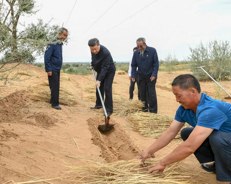 2019年8月21日，習近平來到甘肅省武威市古浪縣八步沙林場，實地察看當?shù)刂紊吃炝?、生態(tài)保護等情況。新華社記者 謝環(huán)馳 攝