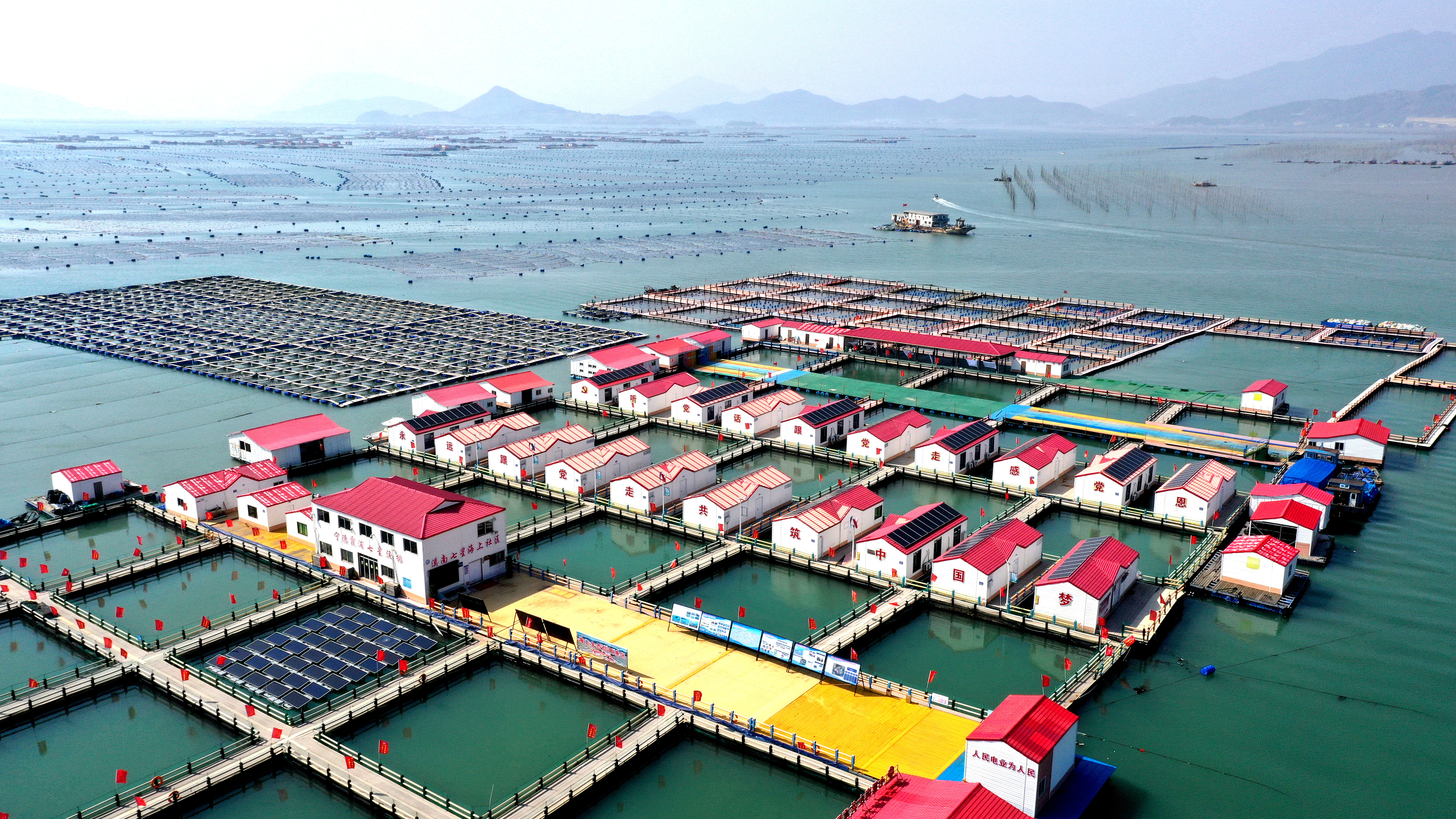 2024年3月20日，福建省寧德市，霞浦縣溪南鎮(zhèn)七星村漁排養(yǎng)殖示范區(qū)，漁民駕駛養(yǎng)殖船進行海參養(yǎng)殖作業(yè)。