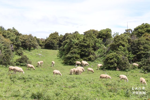 有一种叫云南的生活 这个盛夏，来乌龙坝邂逅一场山野烂漫！ (21).JPG