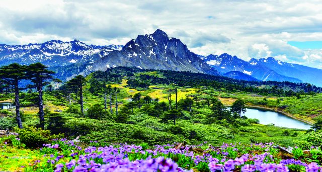 16、春到孔雀山- (贡德公路垭口)张军摄.jpg