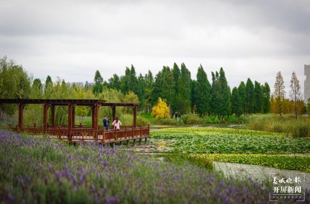寶豐濕地 龍宇丹 攝