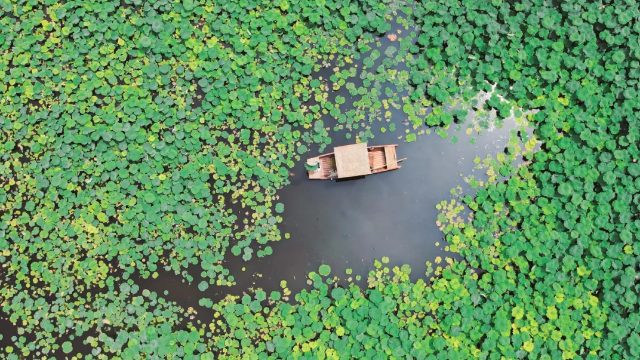 5圖源 云南發(fā)布 方瑞 羅淇 攝.png