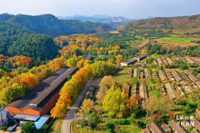 曲靖后花園！車水“馬龍”打造四季花海城市（蔣瓊波 攝 部分圖片曲靖市委宣傳部提供）
