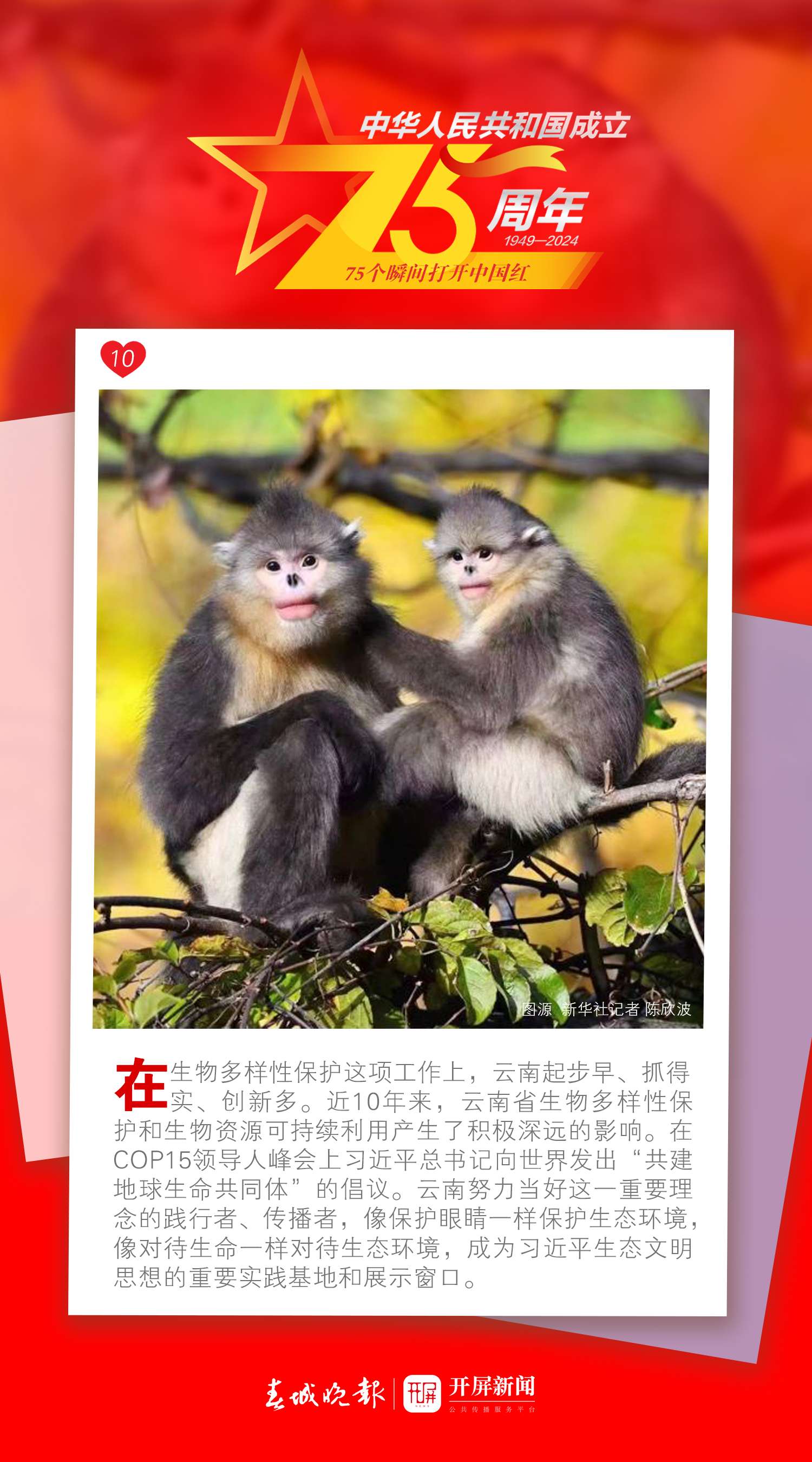 75個瞬間打開中國紅 | 看！裝點(diǎn)中國紅的那一份“綠”