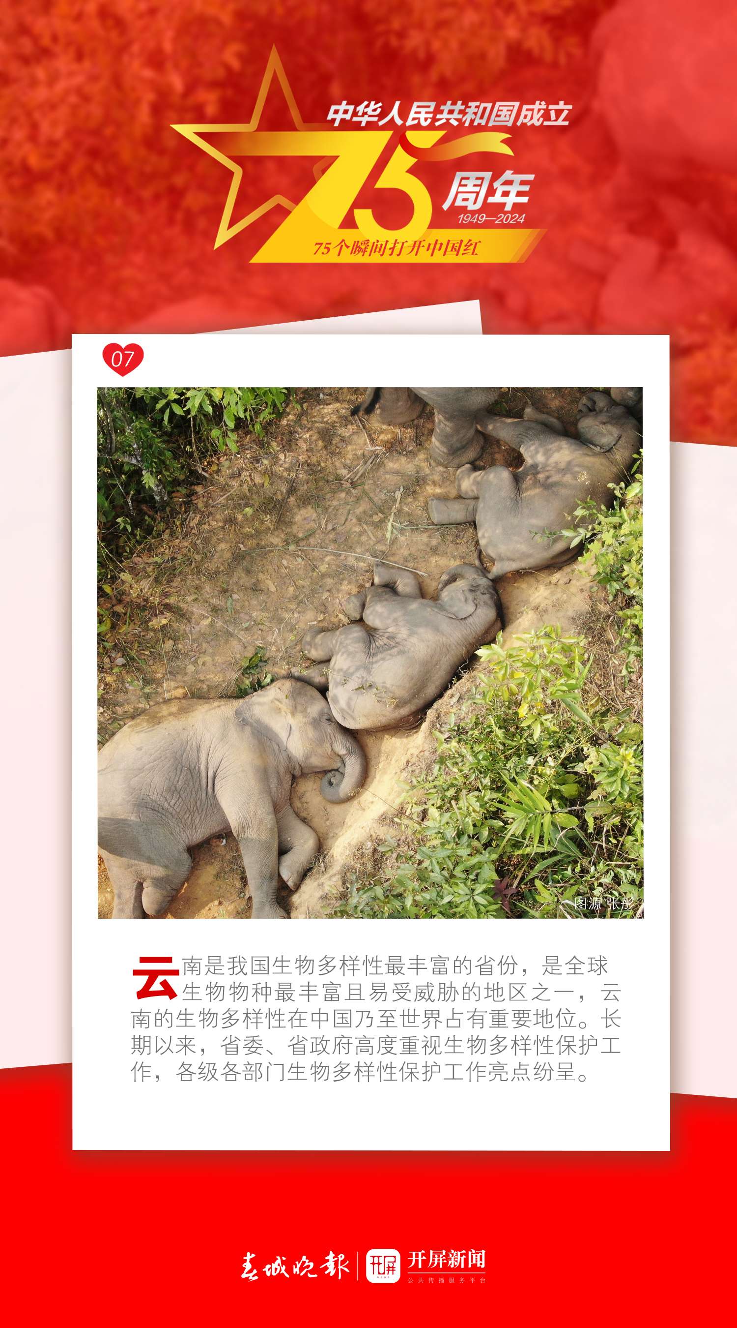 75個瞬間打開中國紅 | 看！裝點(diǎn)中國紅的那一份“綠”