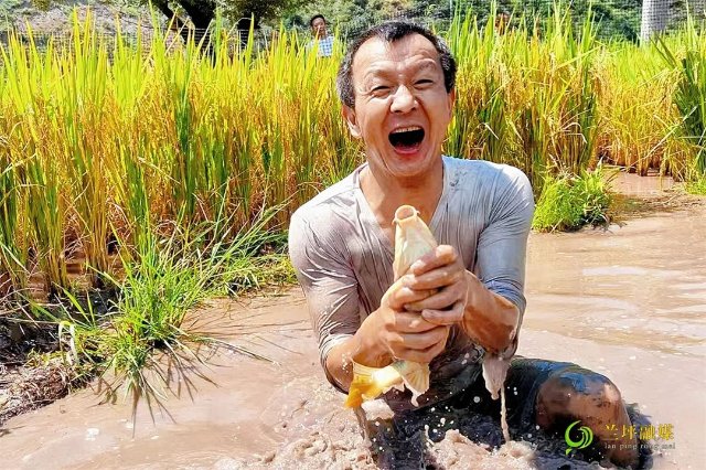 捉稻花鱼 图片据兰坪融媒.jpg