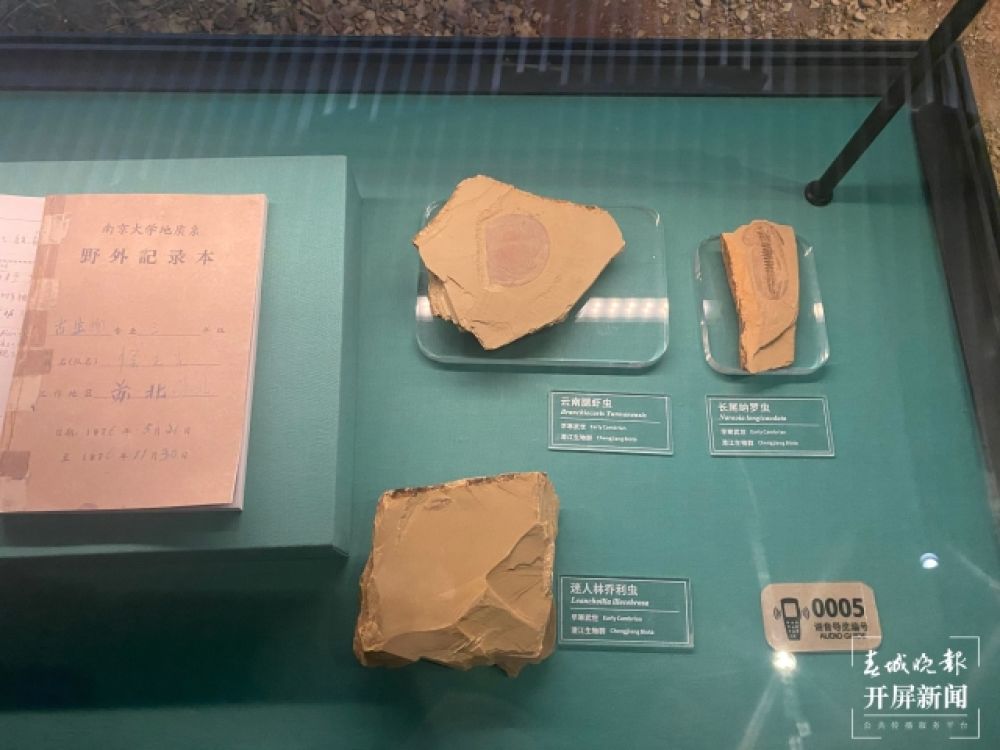 【2021共舞長(zhǎng)江經(jīng)濟(jì)帶】澄江化石地世界自然遺產(chǎn)博物館：探索寒武紀(jì)時(shí)代生命大爆發(fā)之謎(孫琴霞 攝）