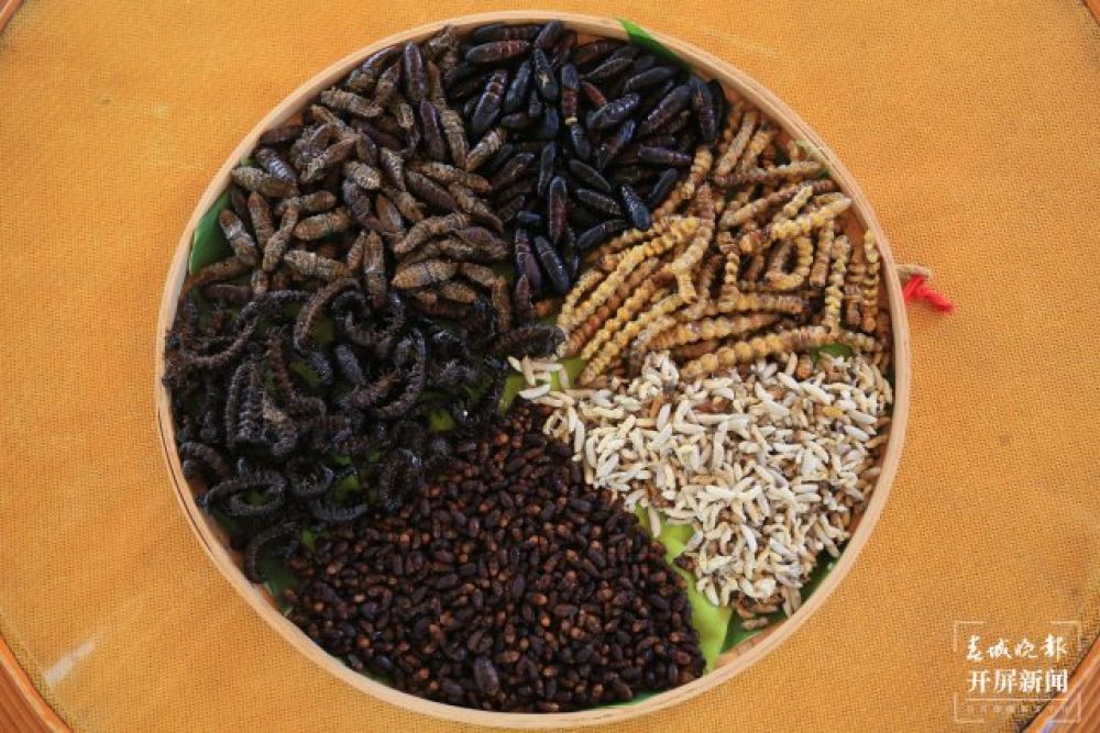 寧洱蟲宴 陶平 攝 (3).JPG