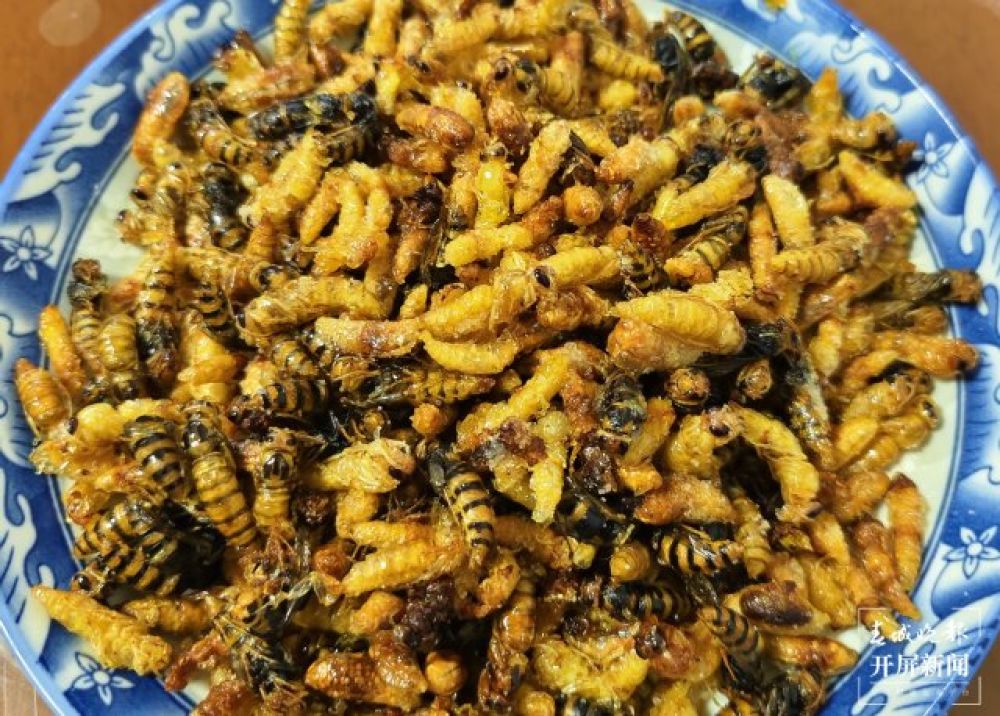 八月，蜂蛹之宴 (20).jpg