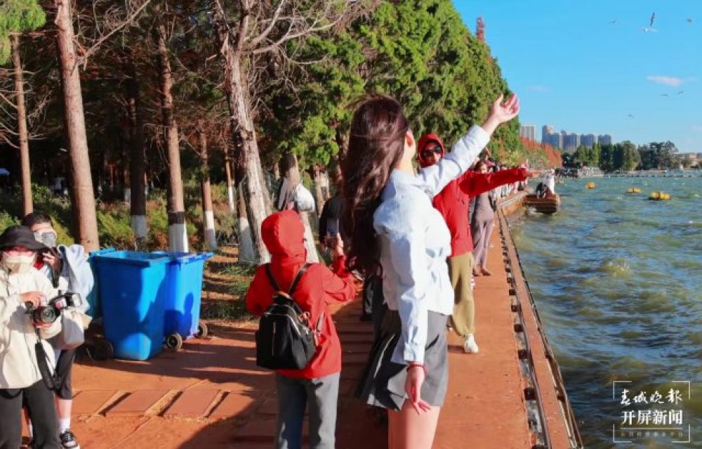 (采访传编辑)昆明观鸥季“海陆空”全方位攻略,记者带您玩转冬日浪漫,海洪湿地观鸥.jpg