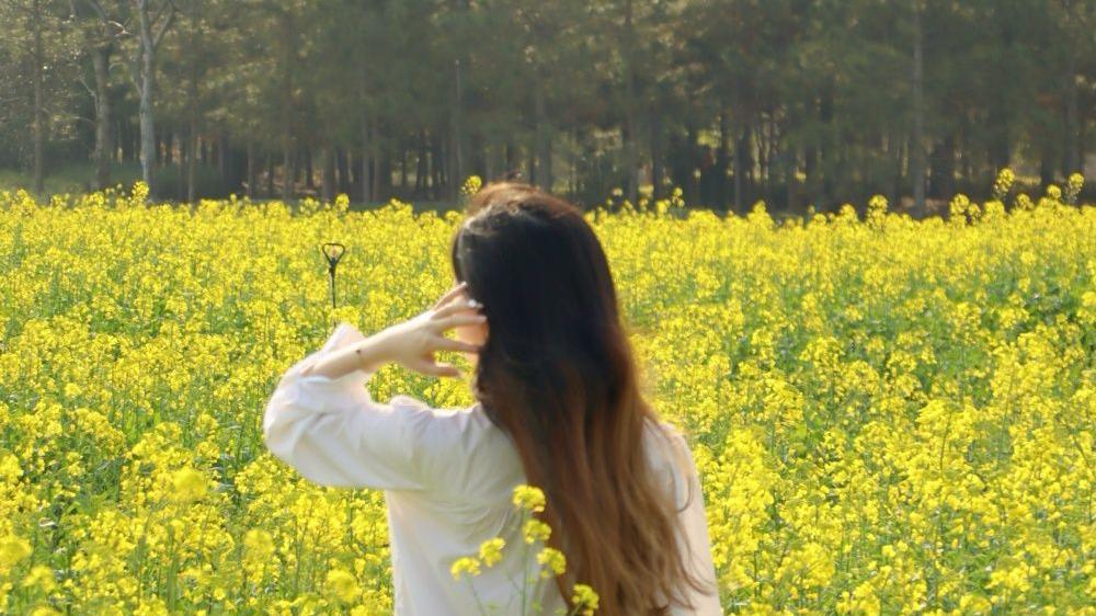 图集丨油菜花田里，有最明媚的春光！