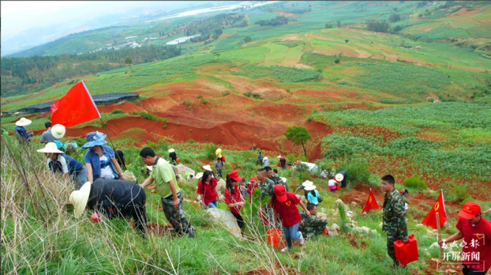 每年应种3-5棵树,昆明网友:我可以去哪尽义务?别激动,6月才是“云南植树月”