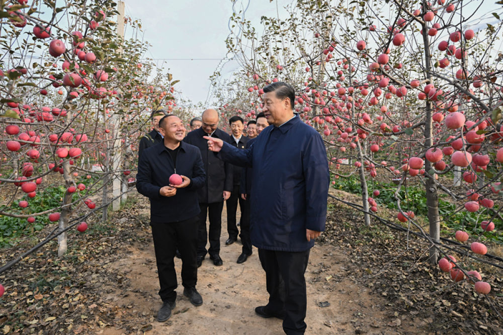 2022年10月26日，習(xí)近平總書記在陜西省延安市安塞區(qū)高橋鎮(zhèn)南溝村的蘋果園里同老鄉(xiāng)們親切交流。