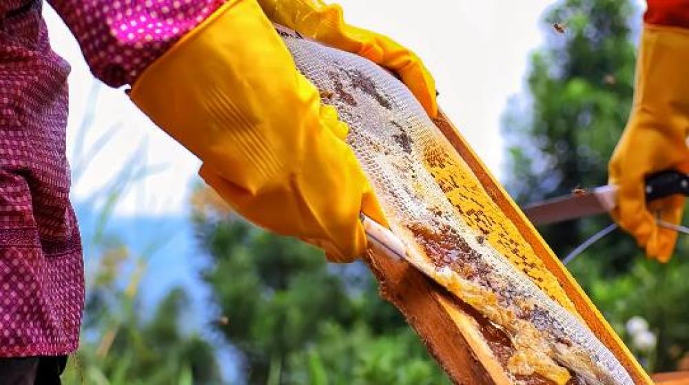 1743578330274820.jpg 360截图20250402151813911.jpg