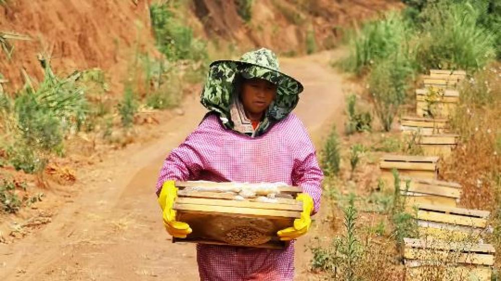 1743578313713368.jpg 360截图20250402151722780.jpg