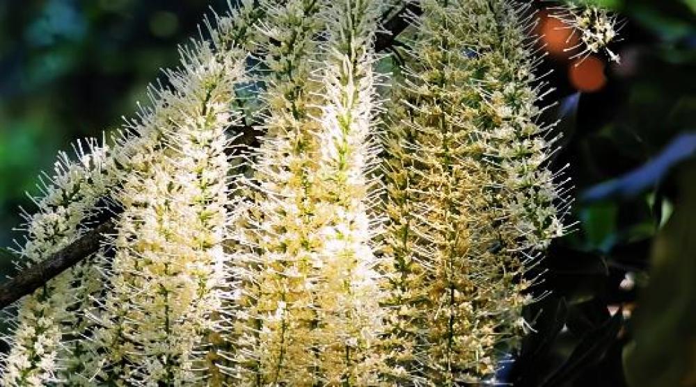 1743578302518201.jpg 360截图20250402151706396.jpg