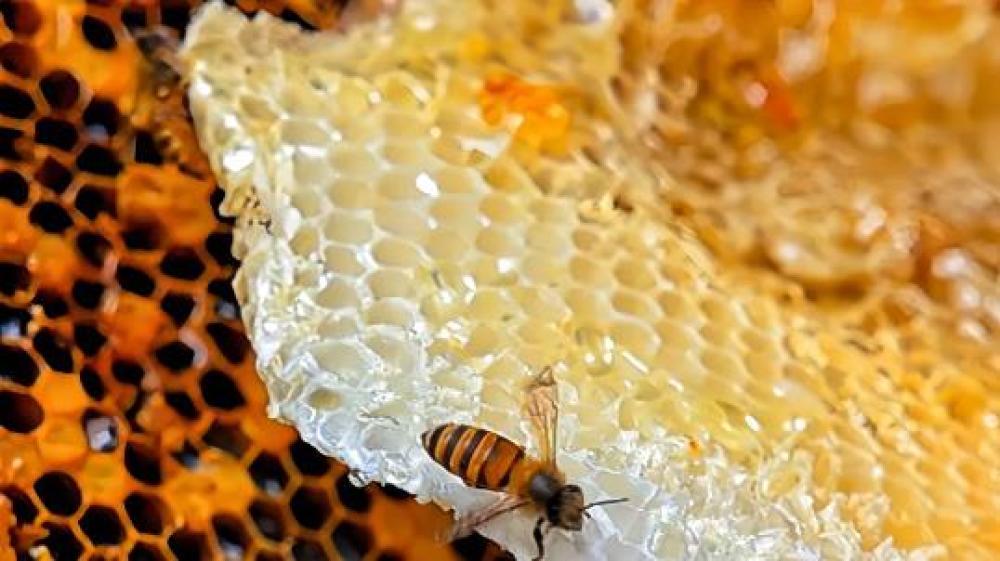 1743578307391654.jpg 360截图20250402151714238.jpg