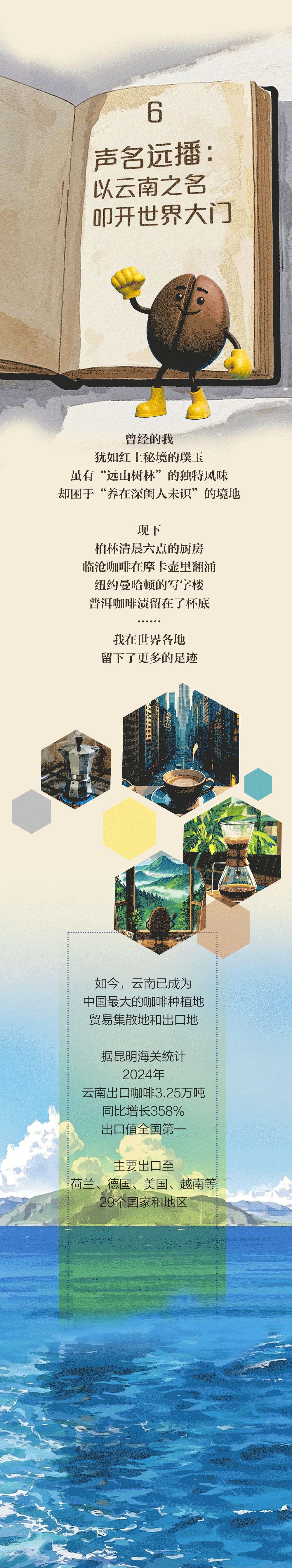 咖啡豆的百年之旅