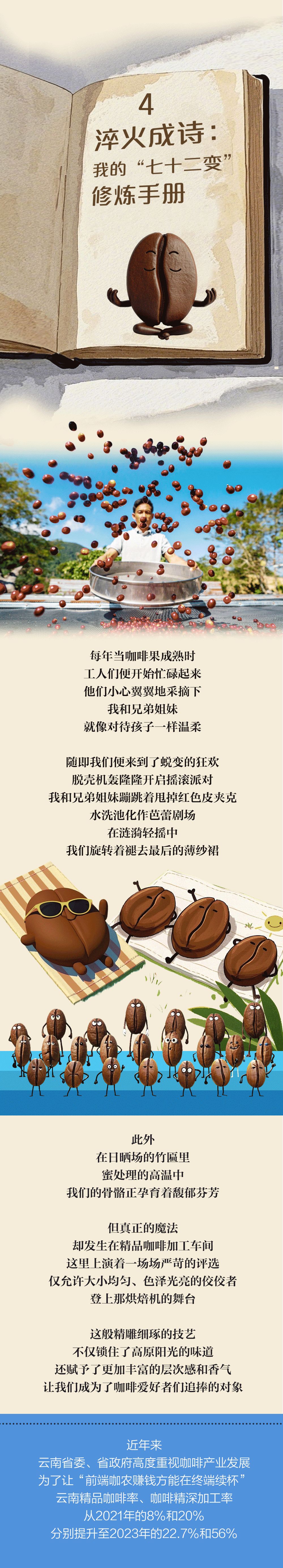 一颗咖啡豆百年之旅