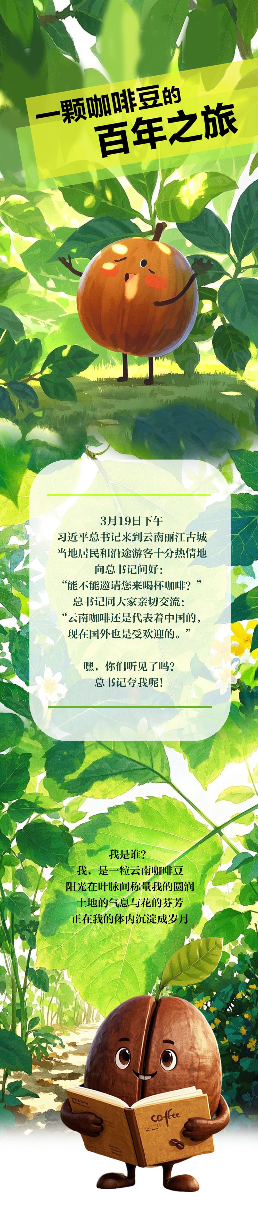 一颗咖啡豆百年之旅