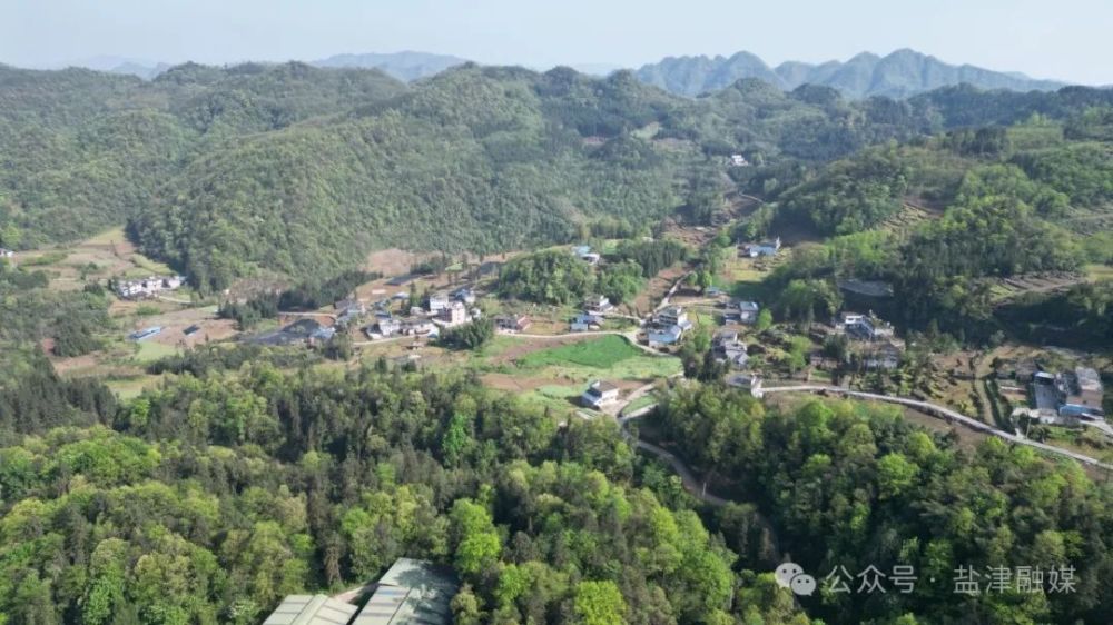 2025年5月6日拍摄于云南盐津县牛寨乡牛寨村 (2).JPG