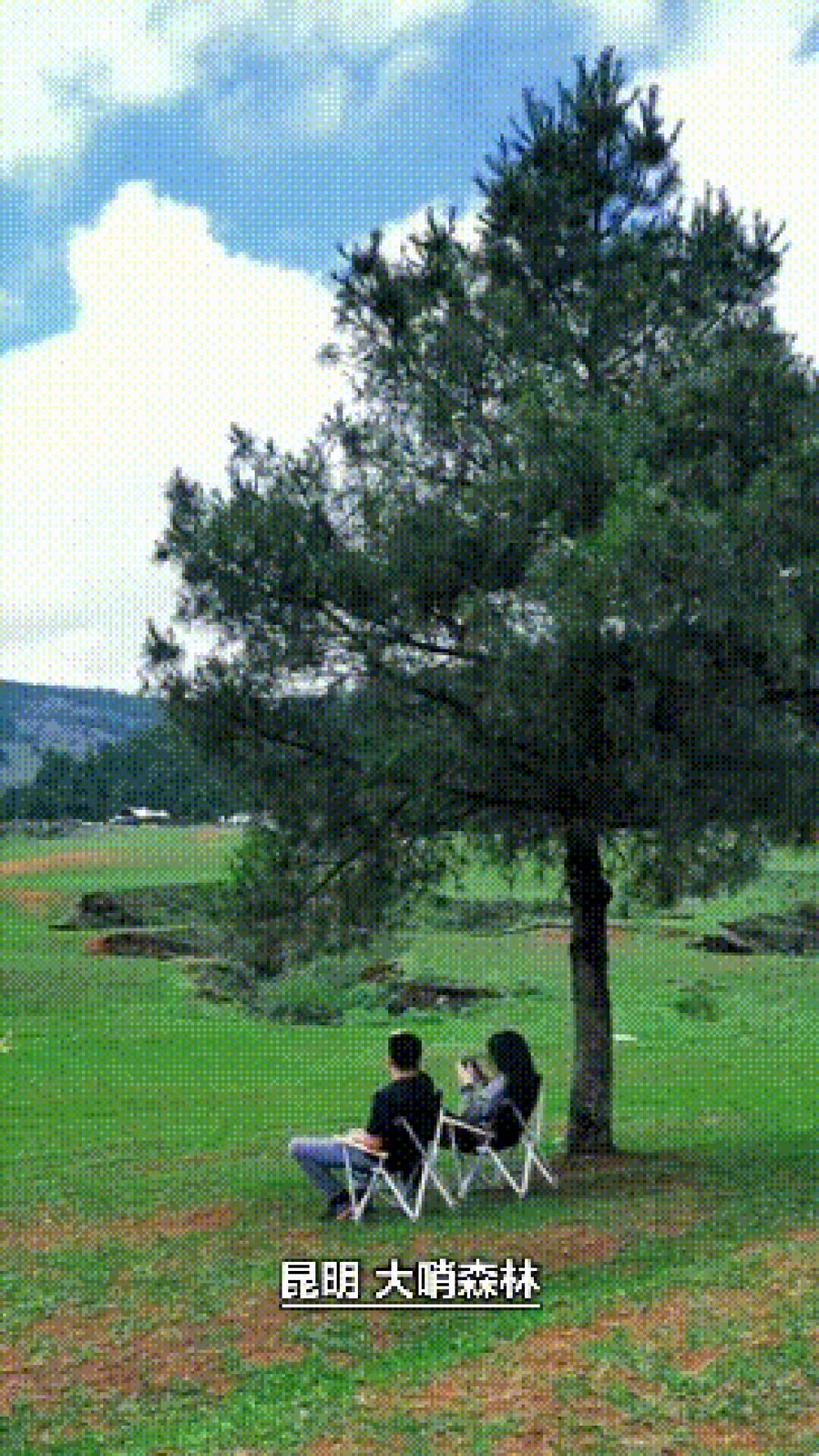 大哨00.gif