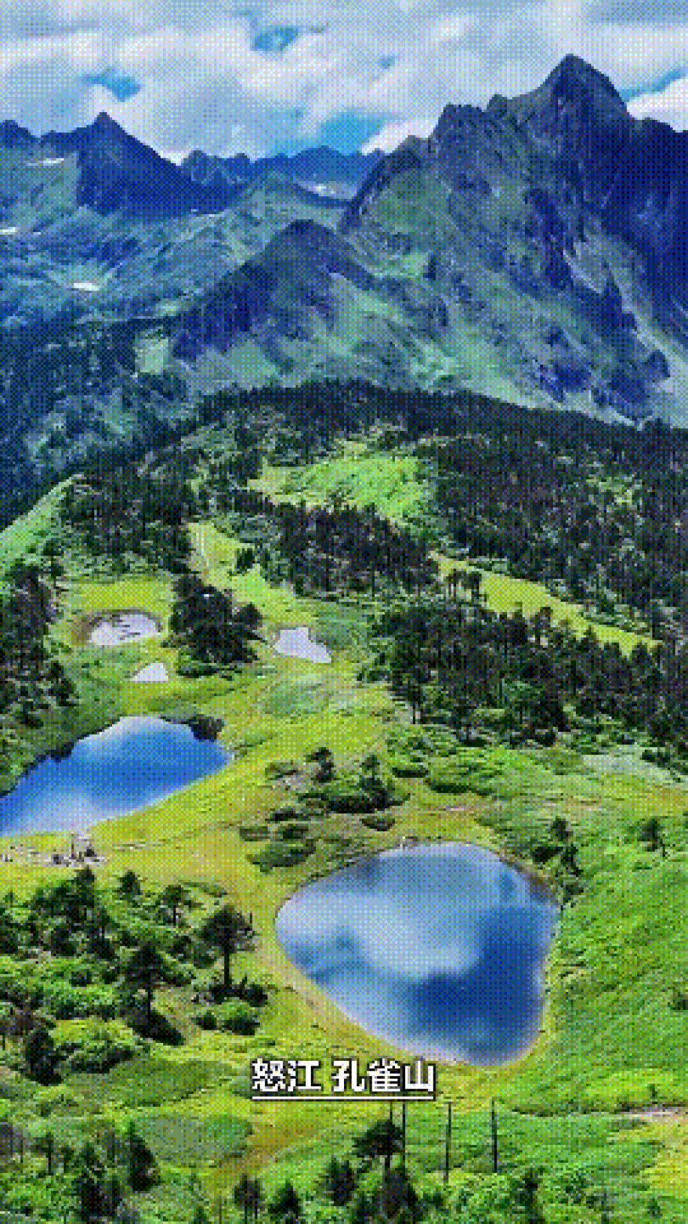 孔雀山.gif
