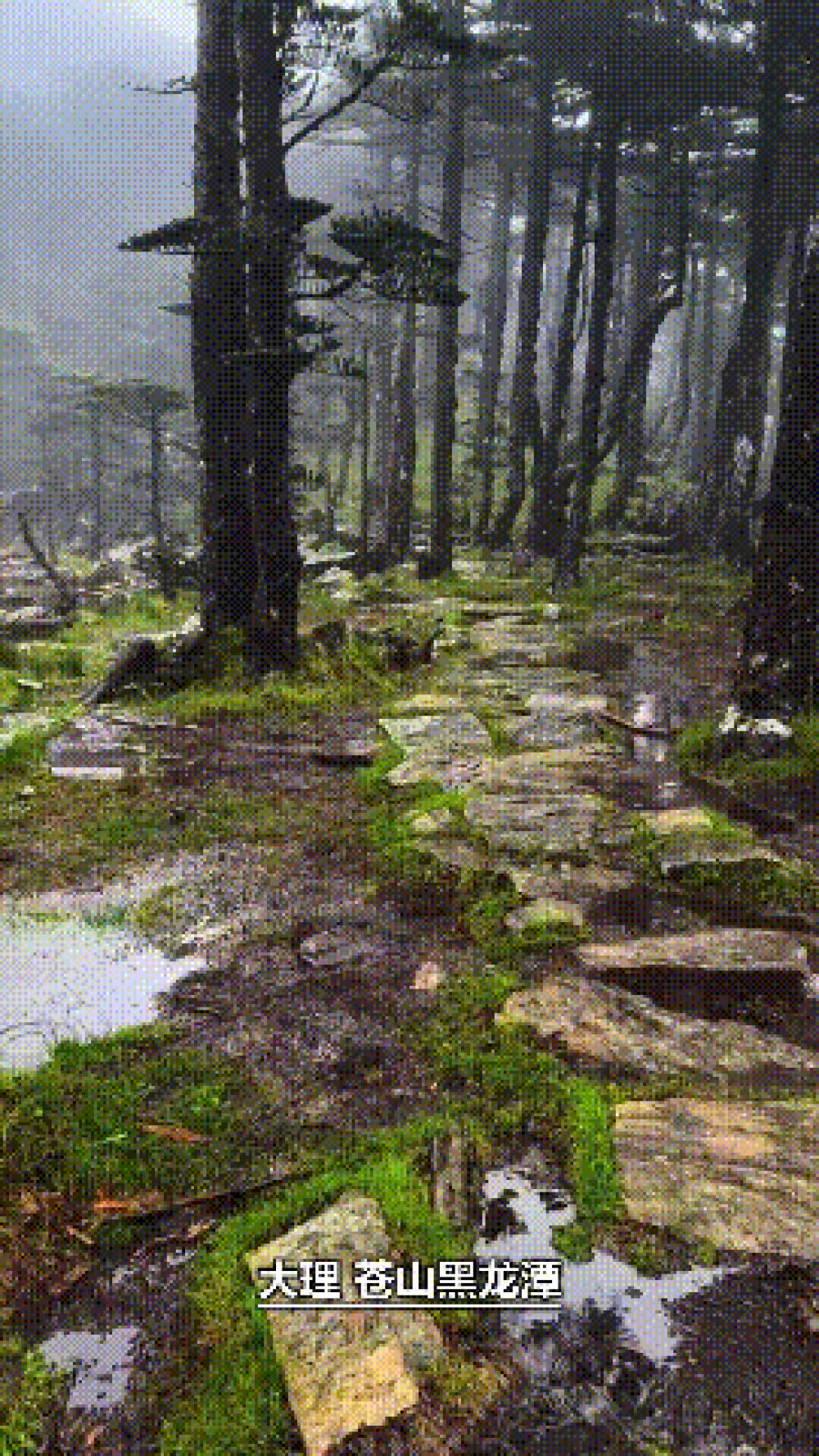 黑龙潭.gif