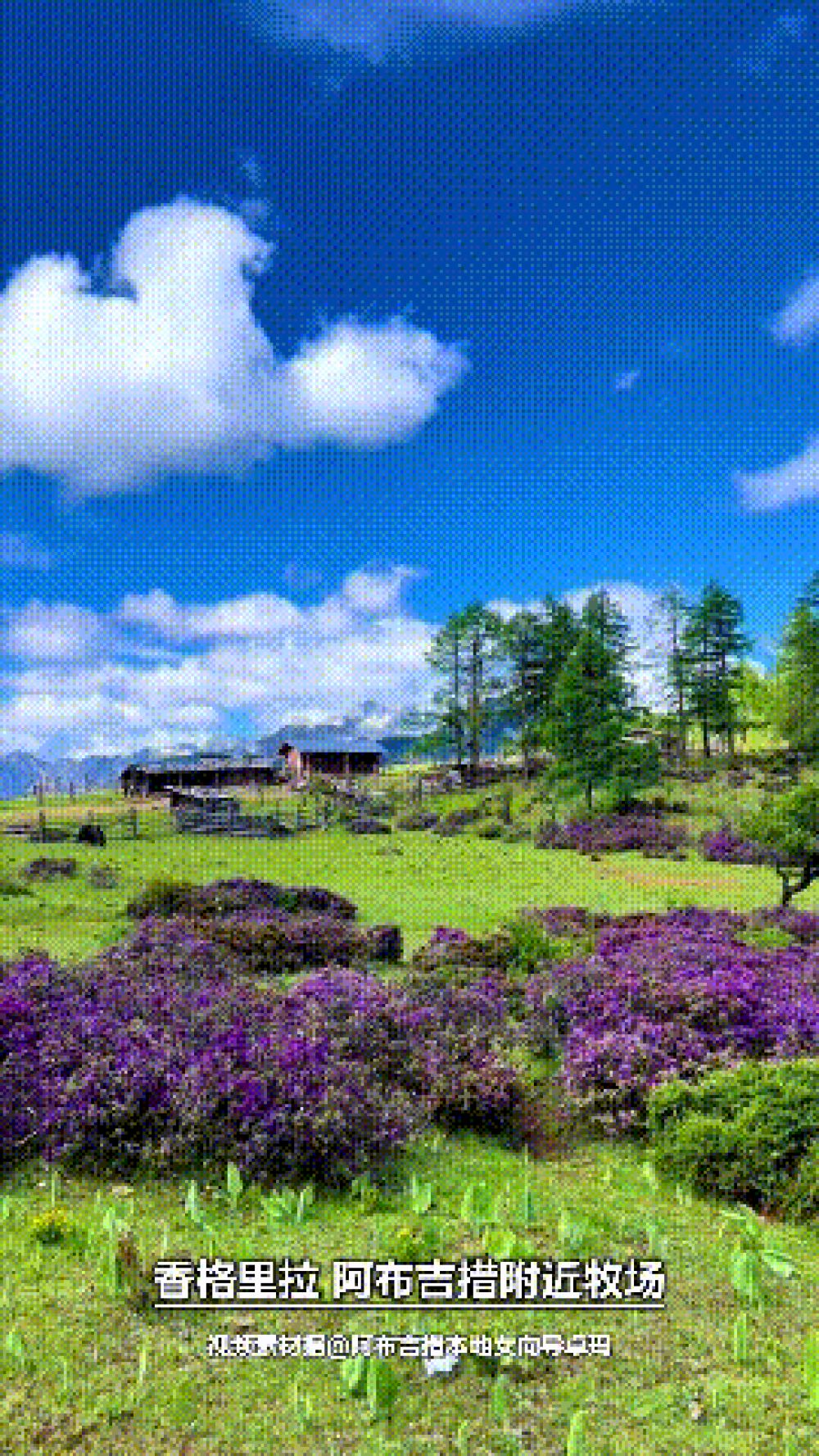 6月16日(1) (1).gif