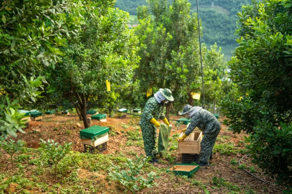 640_wx_fmt=jpeg&from=appmsg&tp=webp&wxfrom=5&wx_lazy=1.webp (7).png