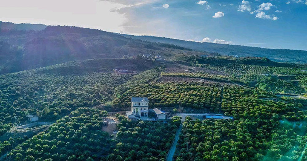 工业园区周边环境。黄丽涛摄