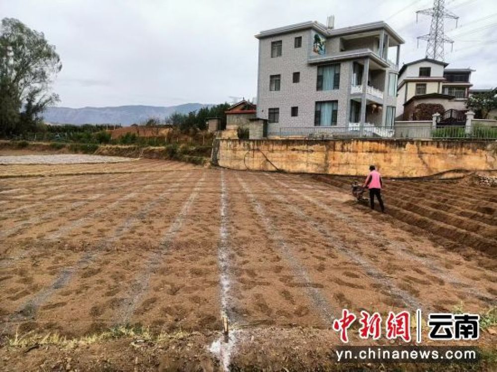 苏安东正在整地理墒。和金蓉 摄