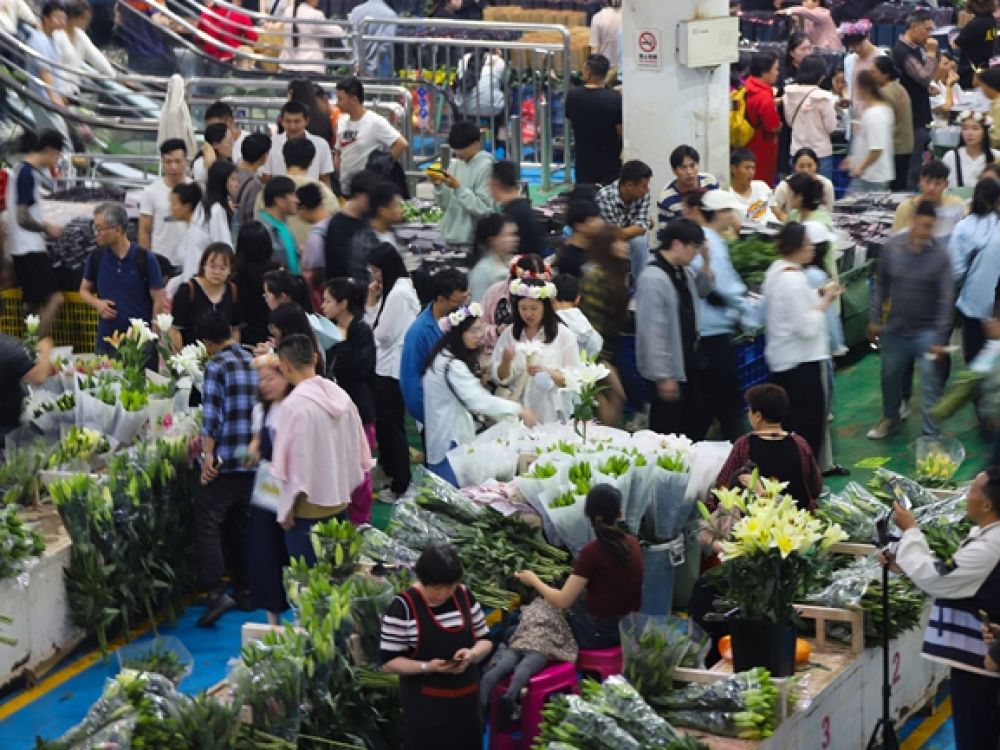 昆明斗南花卉市場熱鬧非凡。人民網(wǎng)記者 李發(fā)興攝
