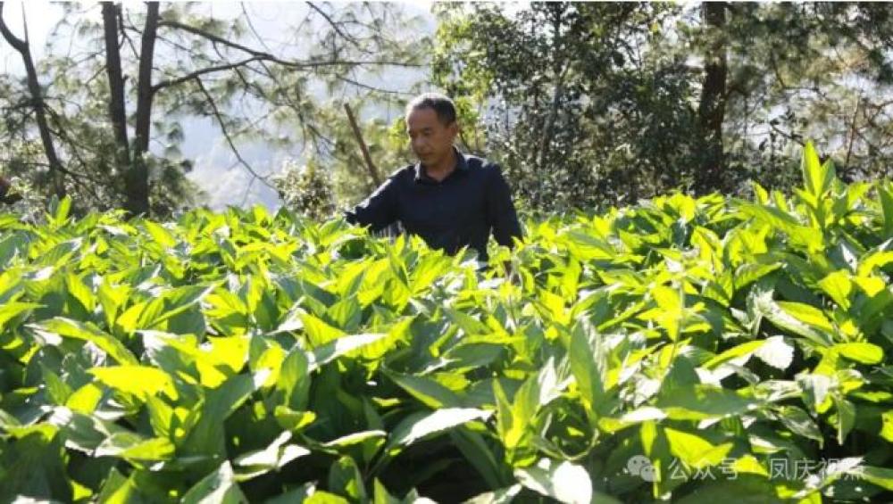 1761527963527744.jpg 360截图20251027091826307.jpg