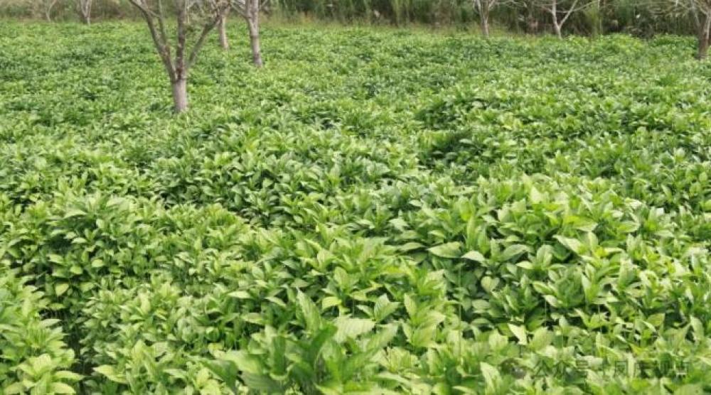 1761527938832858.jpg 360截图20251027091805821.jpg