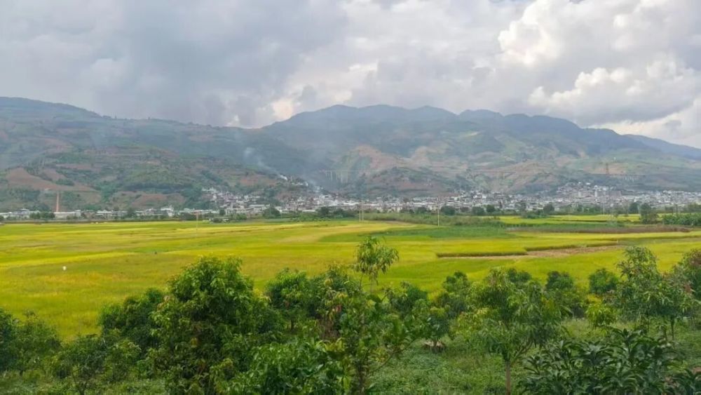 1761699692505292.jpg 21.jpg