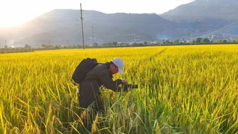 1761699697103268.jpg 22.jpg