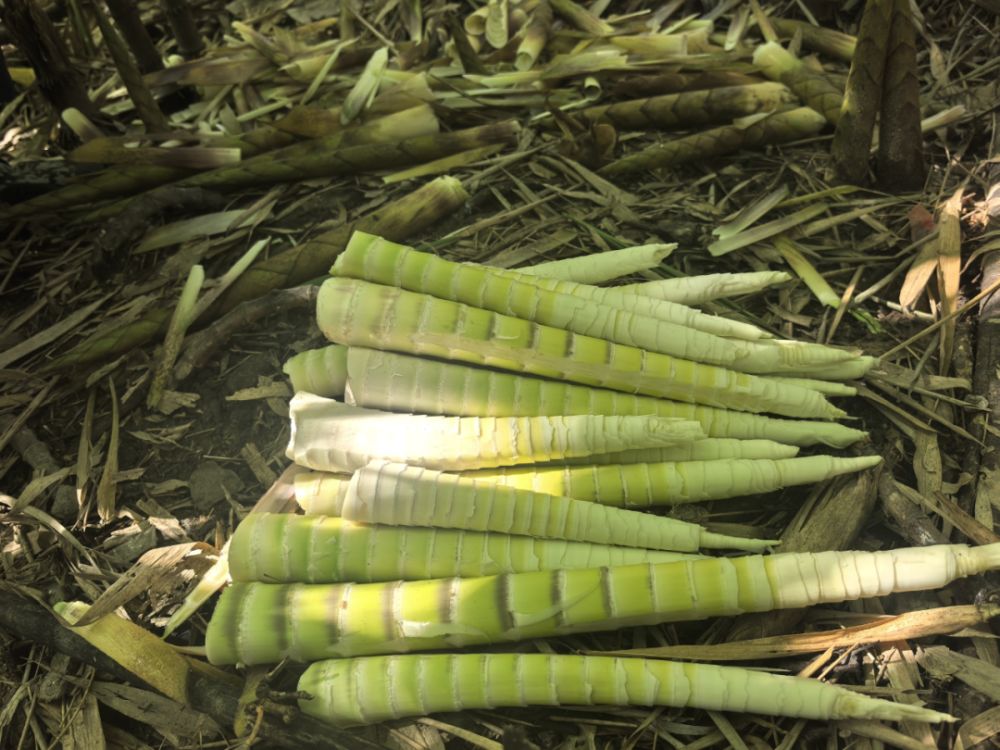 1761787068376189.png 33.png