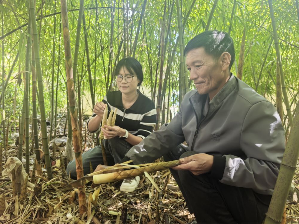 1761787060224445.png 32.png