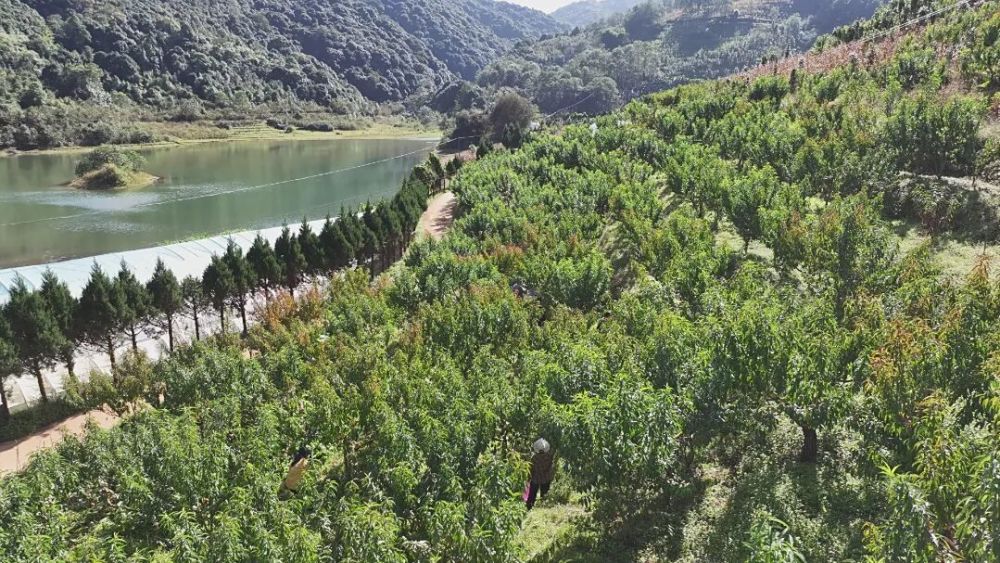 1762221994407788.jpg 24.jpg